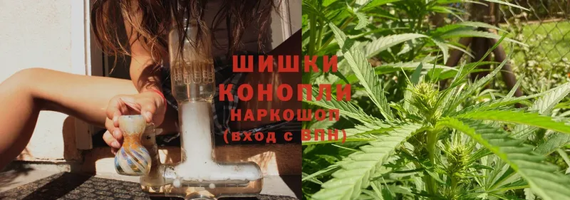 Бошки Шишки Amnesia  купить закладку  Знаменск 